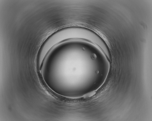 X0000111910485200908031141