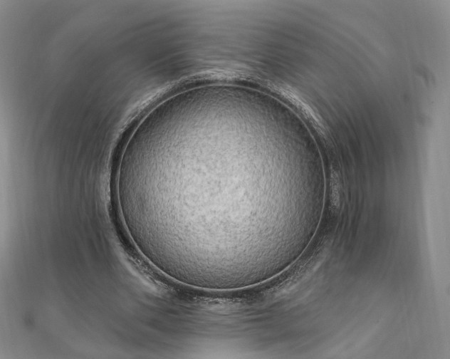 X0000111910486200908031141