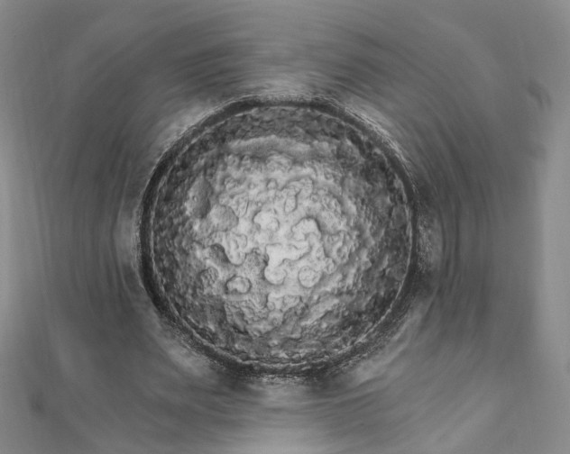 X0000111910487200908031141