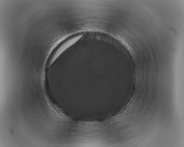 X0000111910488200908031141