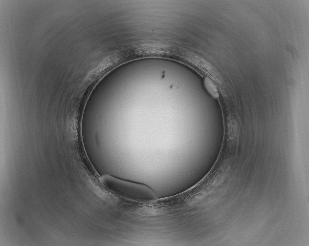 X0000111910489200908031141