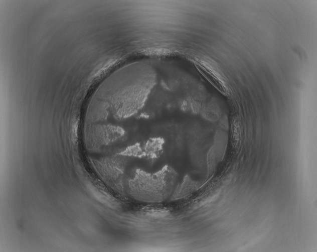 X0000111910491200908031141