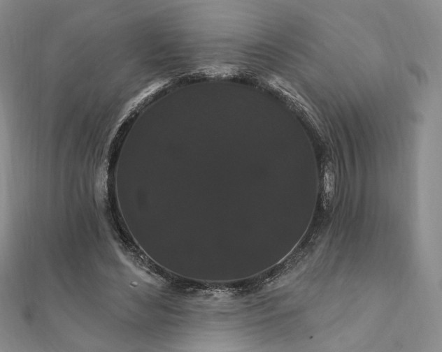 X0000111910492200908031141