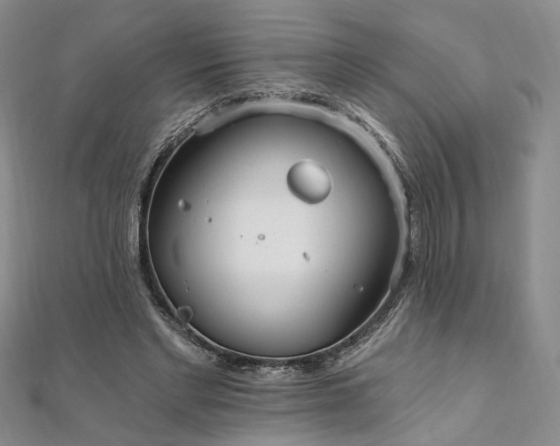 X0000111910493200908031141