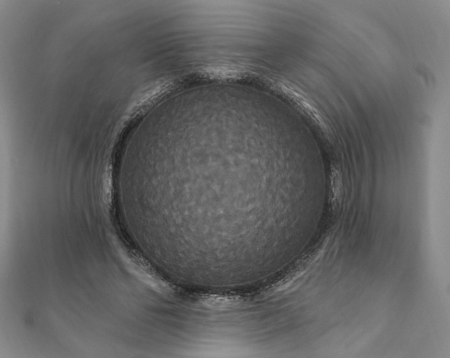 X0000111910494200908031141