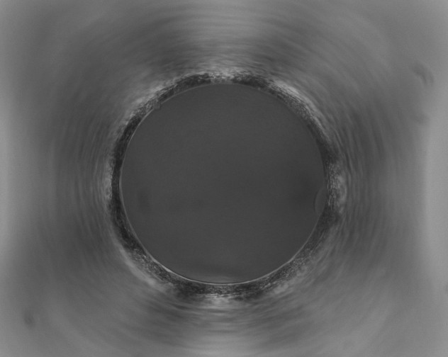 X0000111910496200908031141