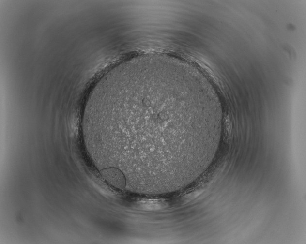 X0000111910499200908031141