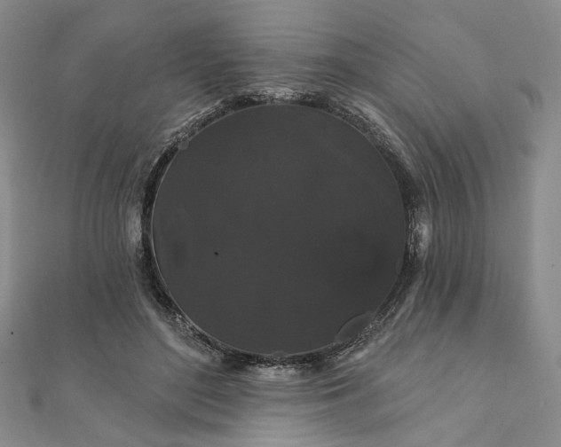 X0000111910500200908031140