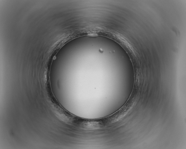 X0000111910501200908031140