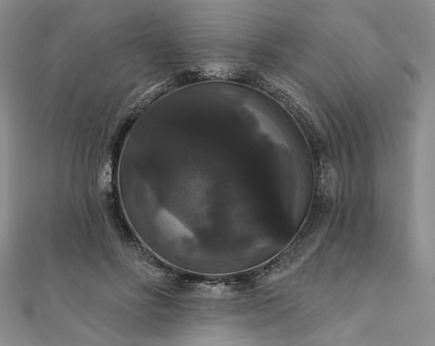 X0000111910502200908031140