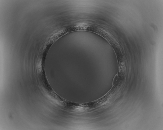 X0000111910504200908031140