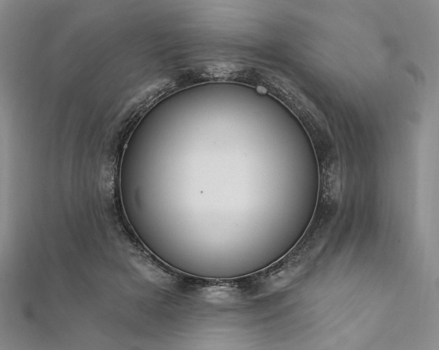 X0000111910505200908031140