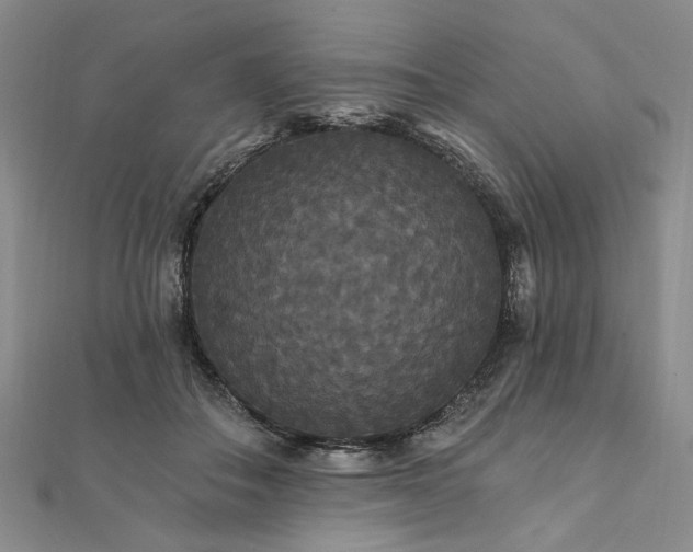 X0000111910506200908031140