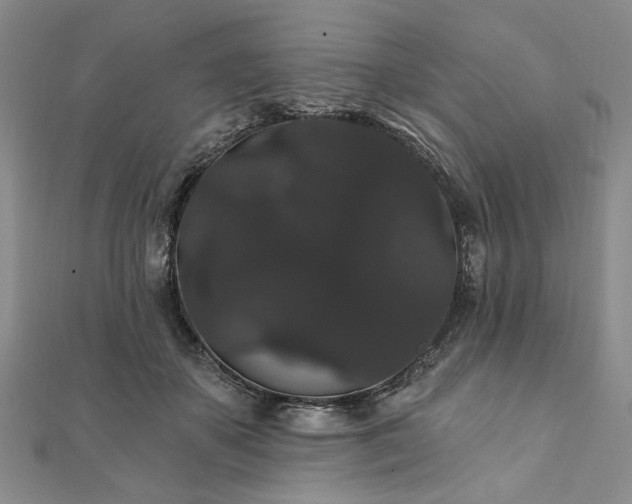 X0000111910507200908031140