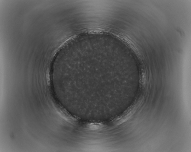 X0000111910508200908031140