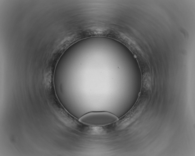 X0000111910509200908031140