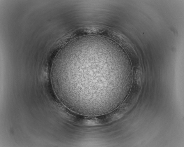 X0000111910510200908031140