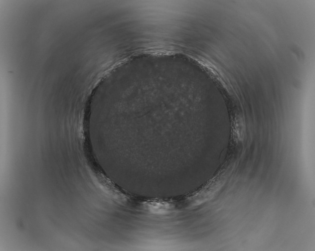 X0000111910512200908031140