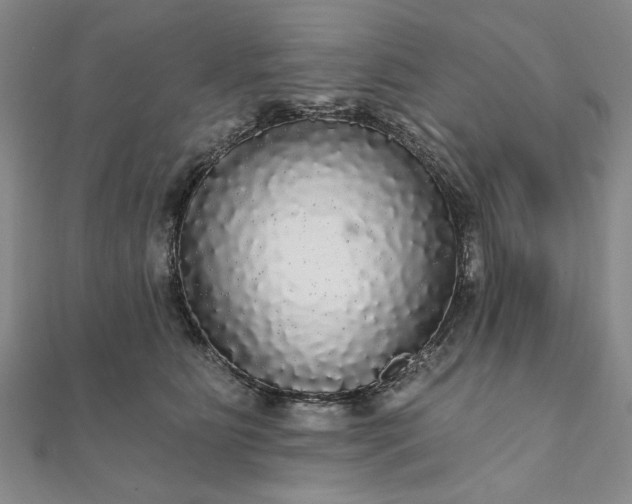 X0000111910515200908031140