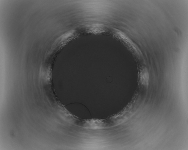 X0000111910517200908031140