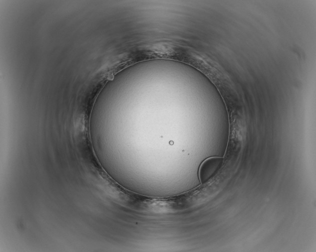 X0000111910518200908031140