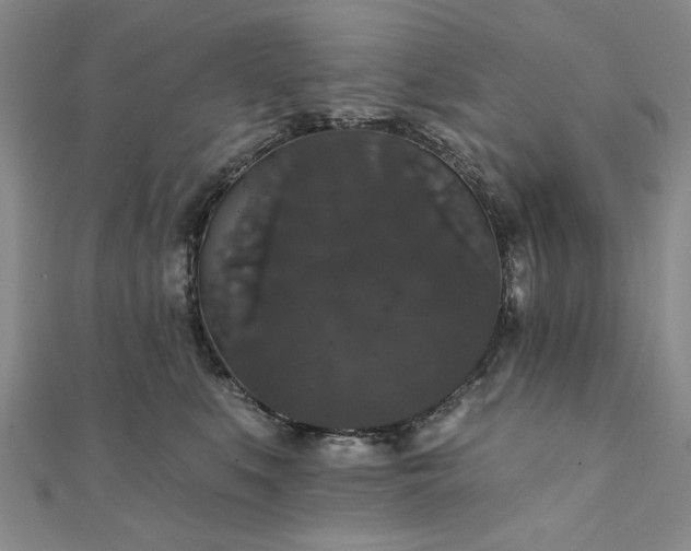 X0000111910519200908031140