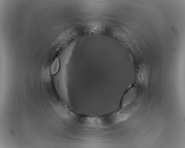 X0000111910520200908031140