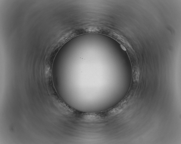 X0000111910521200908031140