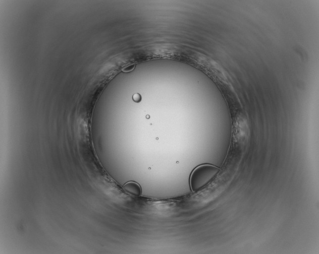 X0000111910522200908031140