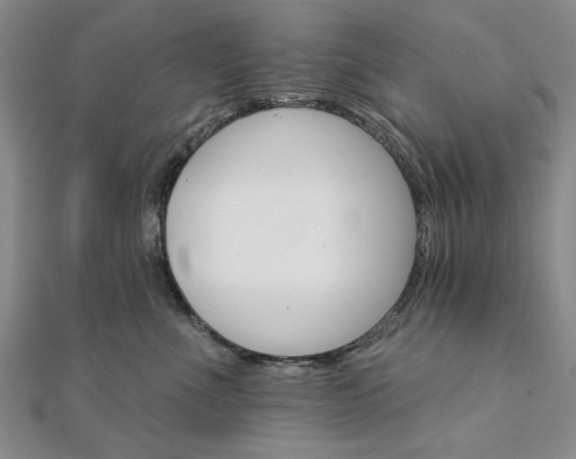 X0000111910523200908031140