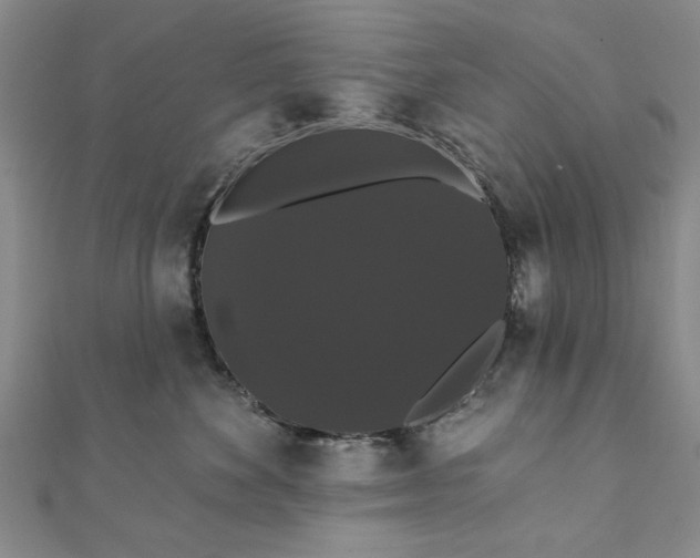 X0000111910524200908031140