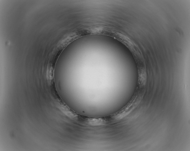 X0000111910525200908031140