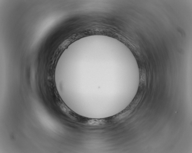 X0000111910526200908031140