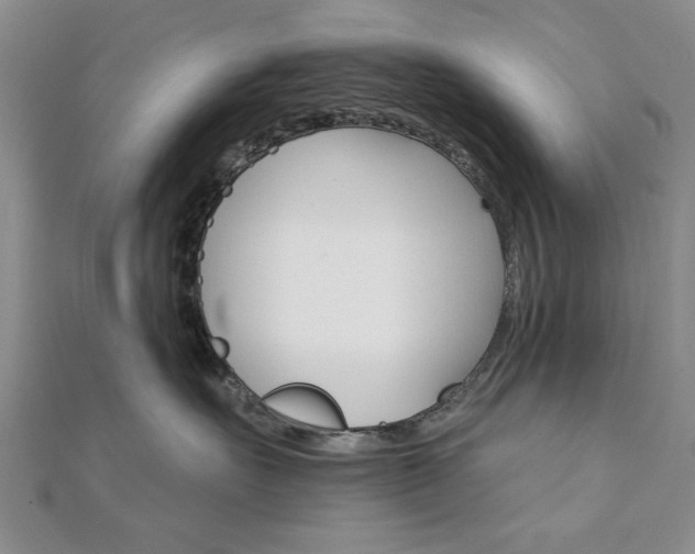 X0000111910527200908031140