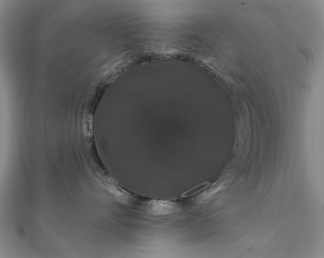 X0000111910528200908031140