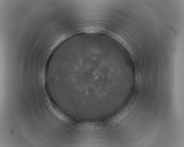 X0000111910530200908031139