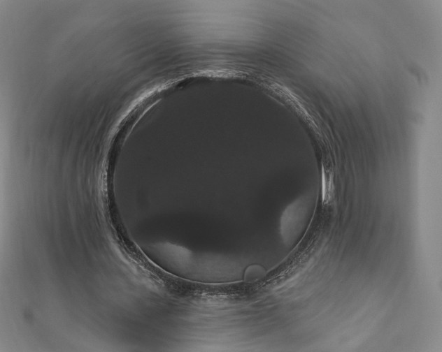 X0000111910531200908031139