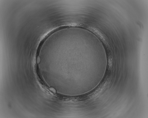 X0000111910532200908031139