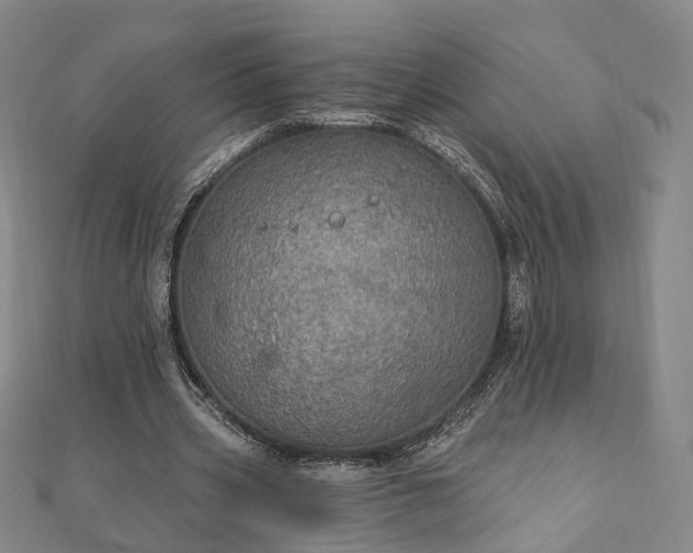 X0000111910533200908031139