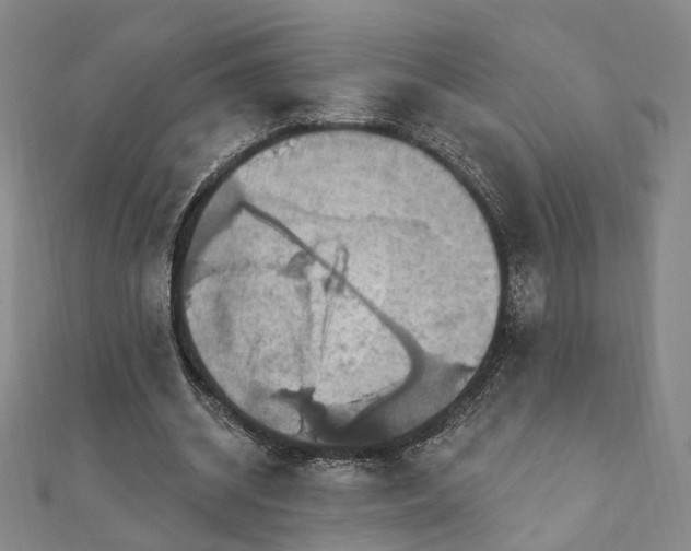 X0000111910534200908031139