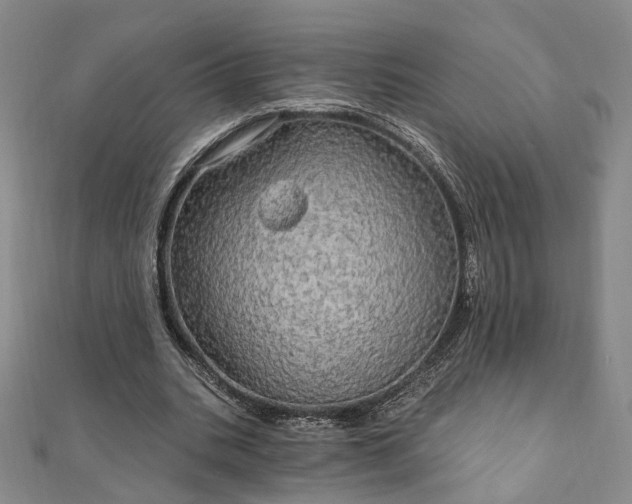 X0000111910535200908031140