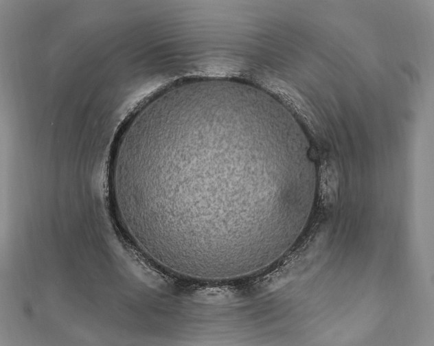 X0000111910536200908031140