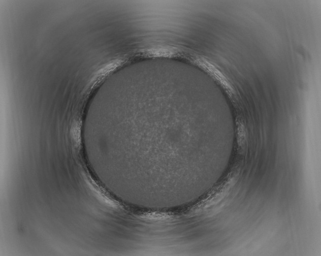 X0000111910537200908031140