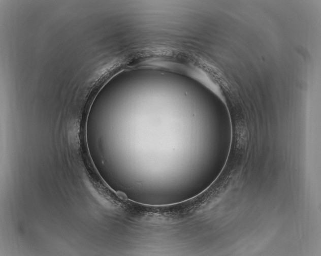 X0000111910538200908031140
