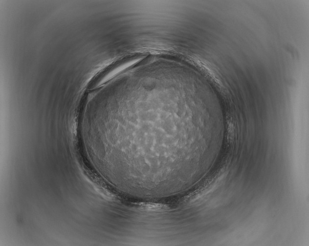 X0000111910539200908031140