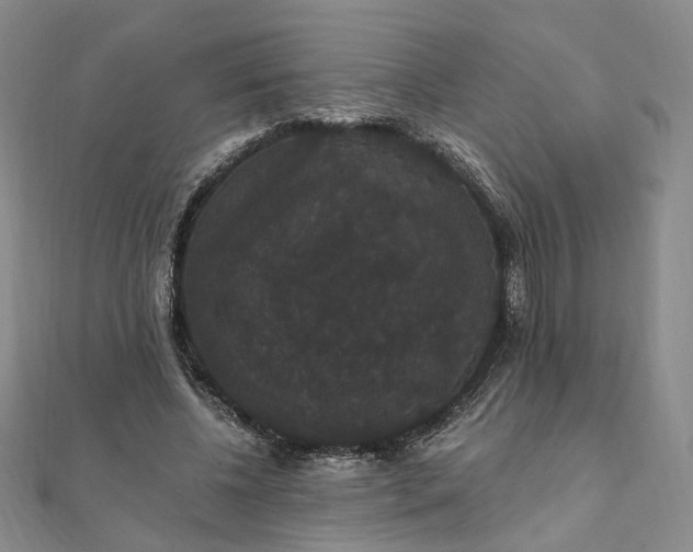 X0000111910540200908031140