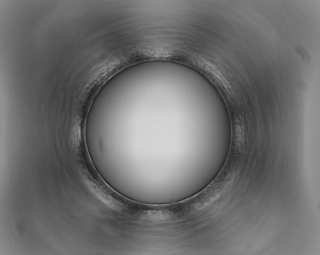 X0000111910541200908031140