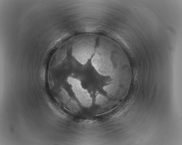 X0000111910542200908031140