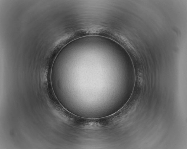 X0000111910543200908031140