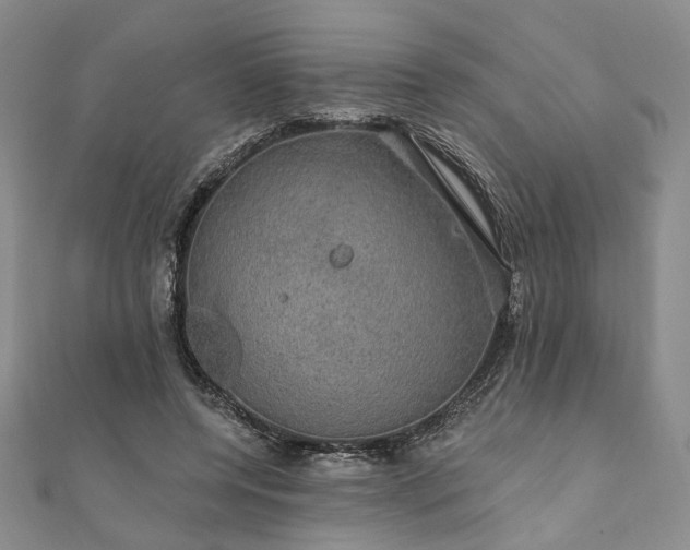 X0000111910544200908031140